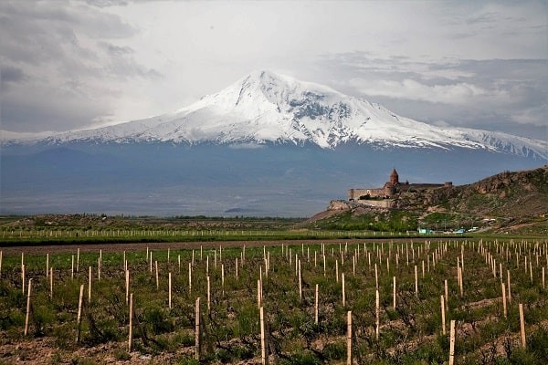 Գինու ճանապարհը