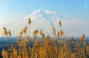 Դու մենակ չես, մենք մենակ չենք